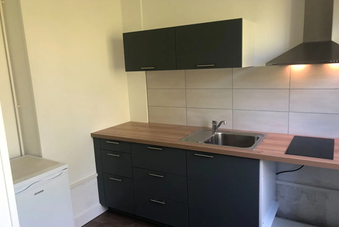 Appartement T1 Bis rénové à Place Verdun - Investissement sécurisé 