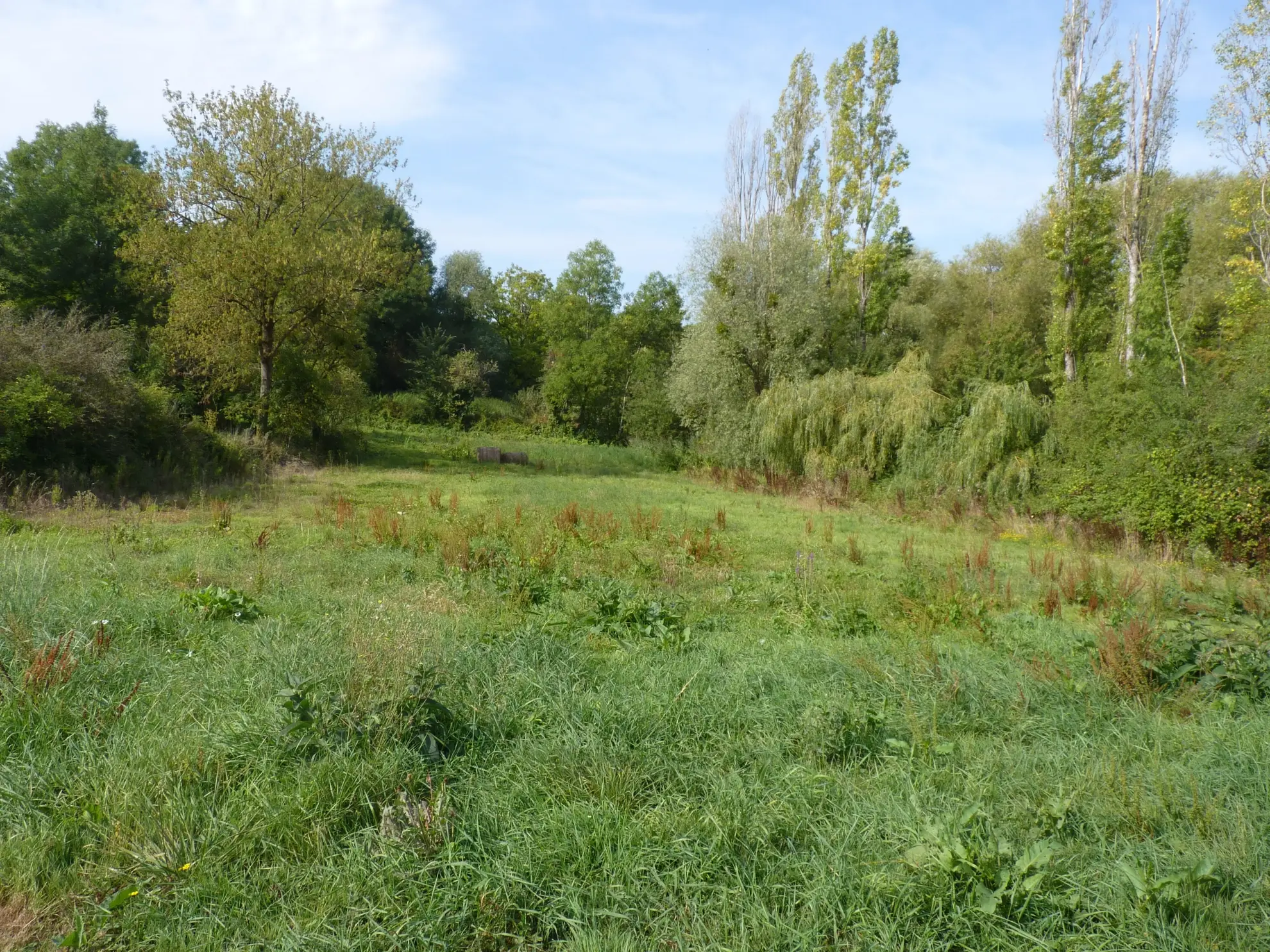 Terrain constructible à vendre à Rethel - 2100 m² dans un village avec commerces 