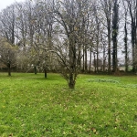 Terrain à bâtir viabilisé de 1182 m² à Thiergeville, proche Fécamp