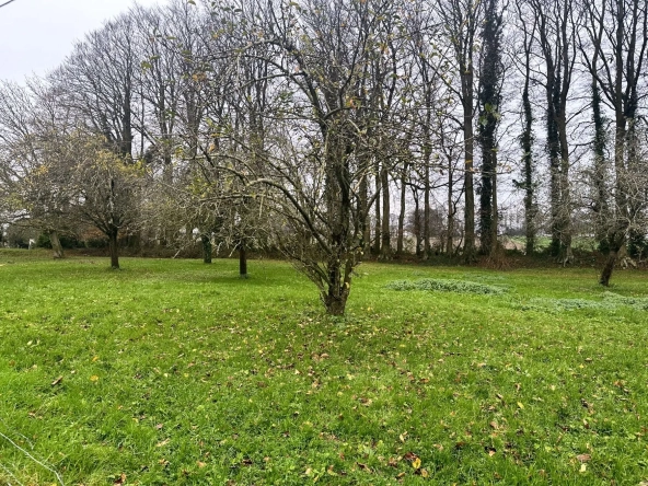Terrain à bâtir viabilisé de 1182 m² à Thiergeville, proche Fécamp