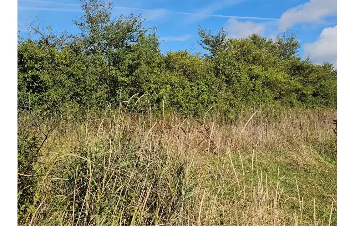 Terrain à vendre à La Plaine-sur-Mer proche de la mer 