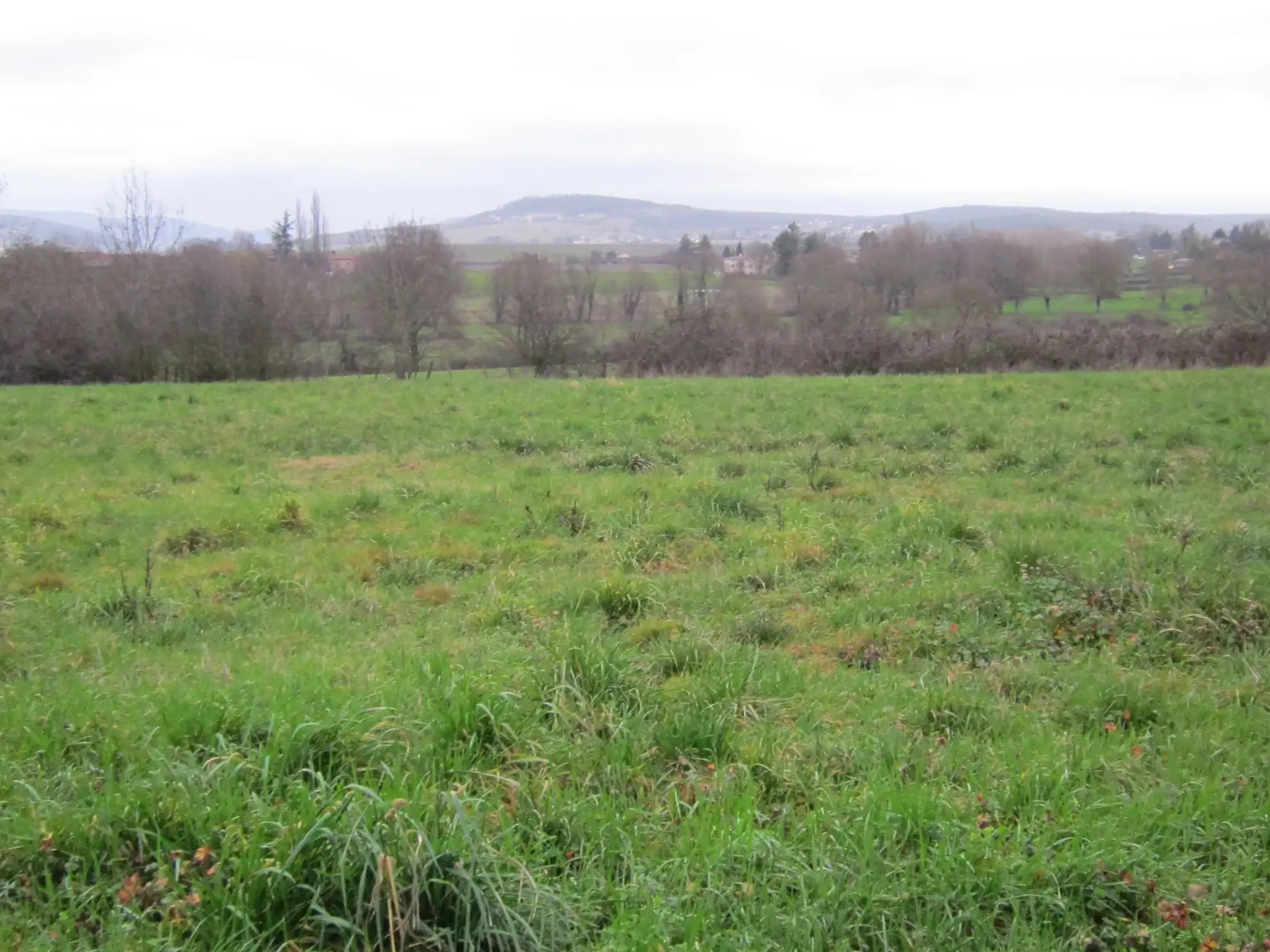 Construction maison moderne à Crêches-sur-Saône sur terrain de 360 m² 