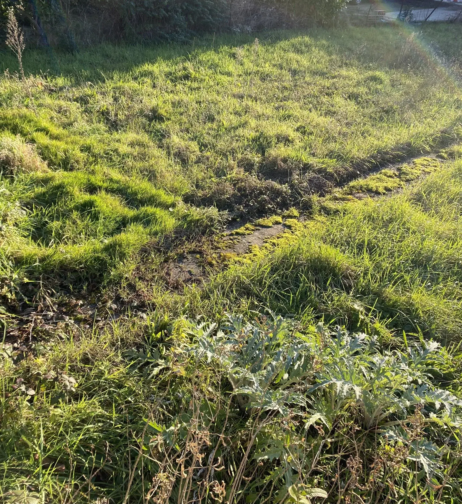 Maison neuve T4 à Villefranche de Lauragais sur terrain de 1100 m² 