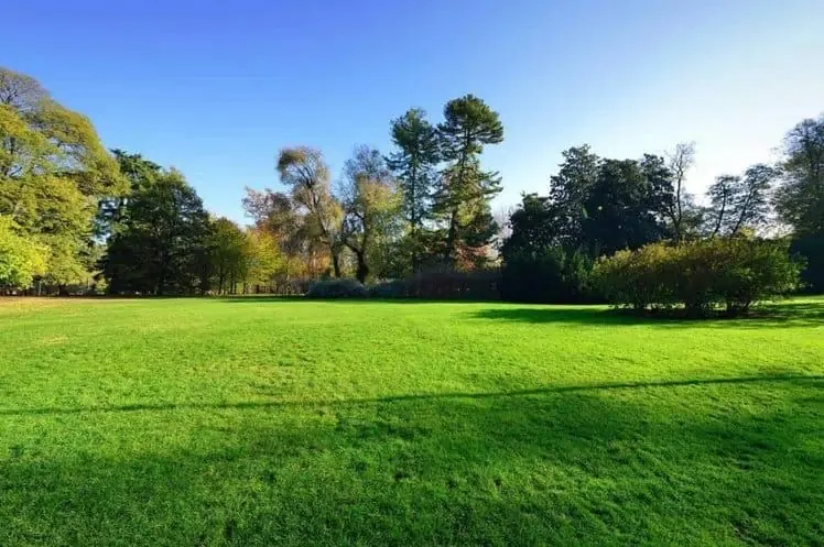 Terrain à bâtir de 450 m² à Auros - Opportunité exceptionnelle 