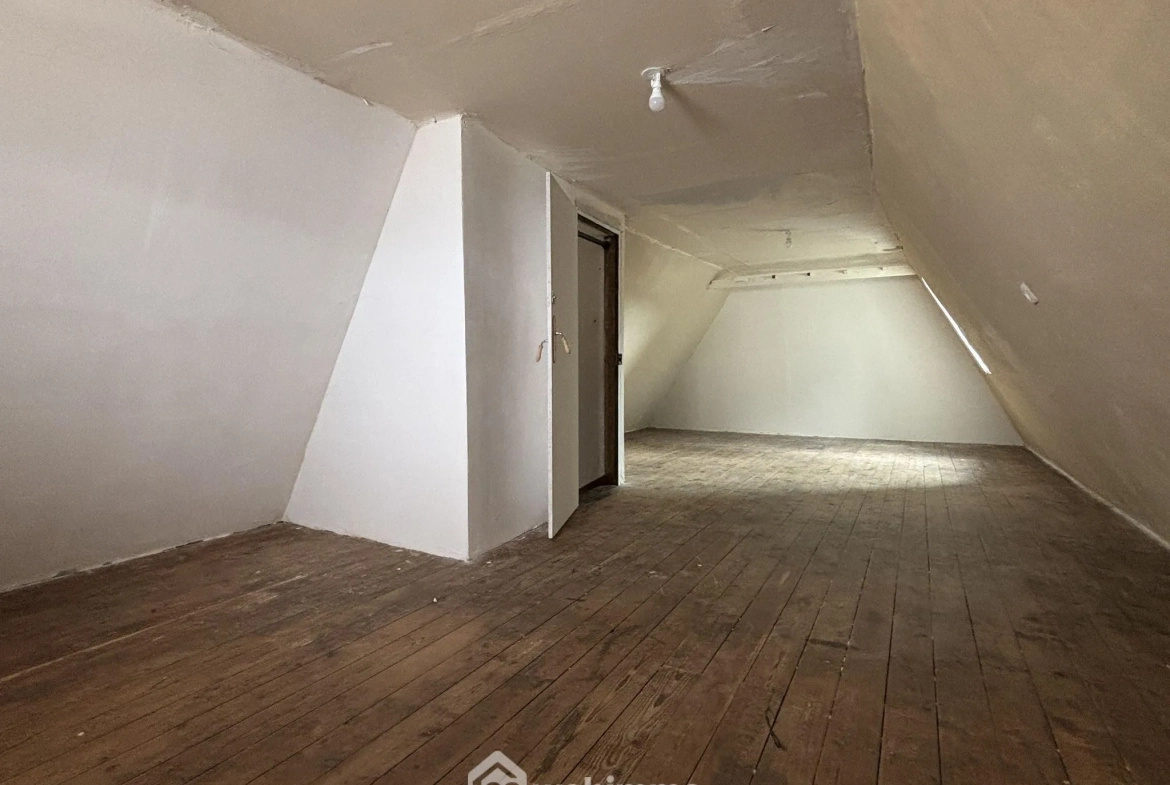 Magnifique maison de ville à Ingrandes-sur-Vienne avec grand terrain de 756 m² 