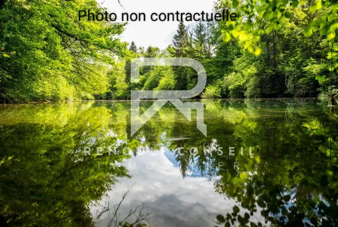 Magnifique étang de loisir à vendre à Fontaine sous Jouy, idéal pour la pêche et la détente 