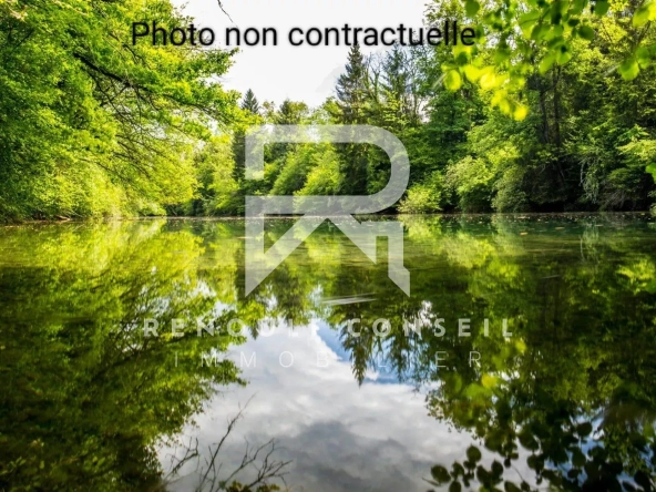 Magnifique étang de loisir à vendre à Fontaine sous Jouy, idéal pour la pêche et la détente