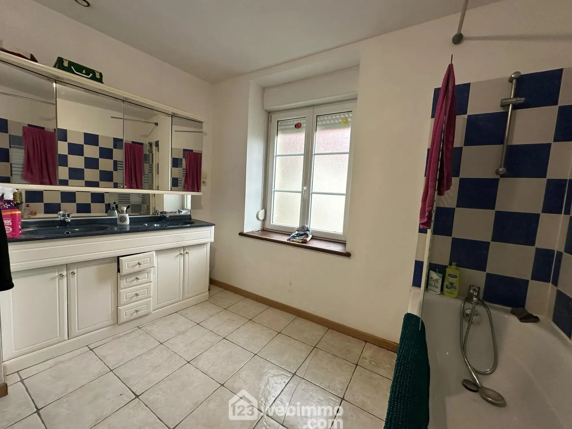 Investissement immobilier rare à Mauregny-en-Haye - 306 m² avec potentiel locatif 