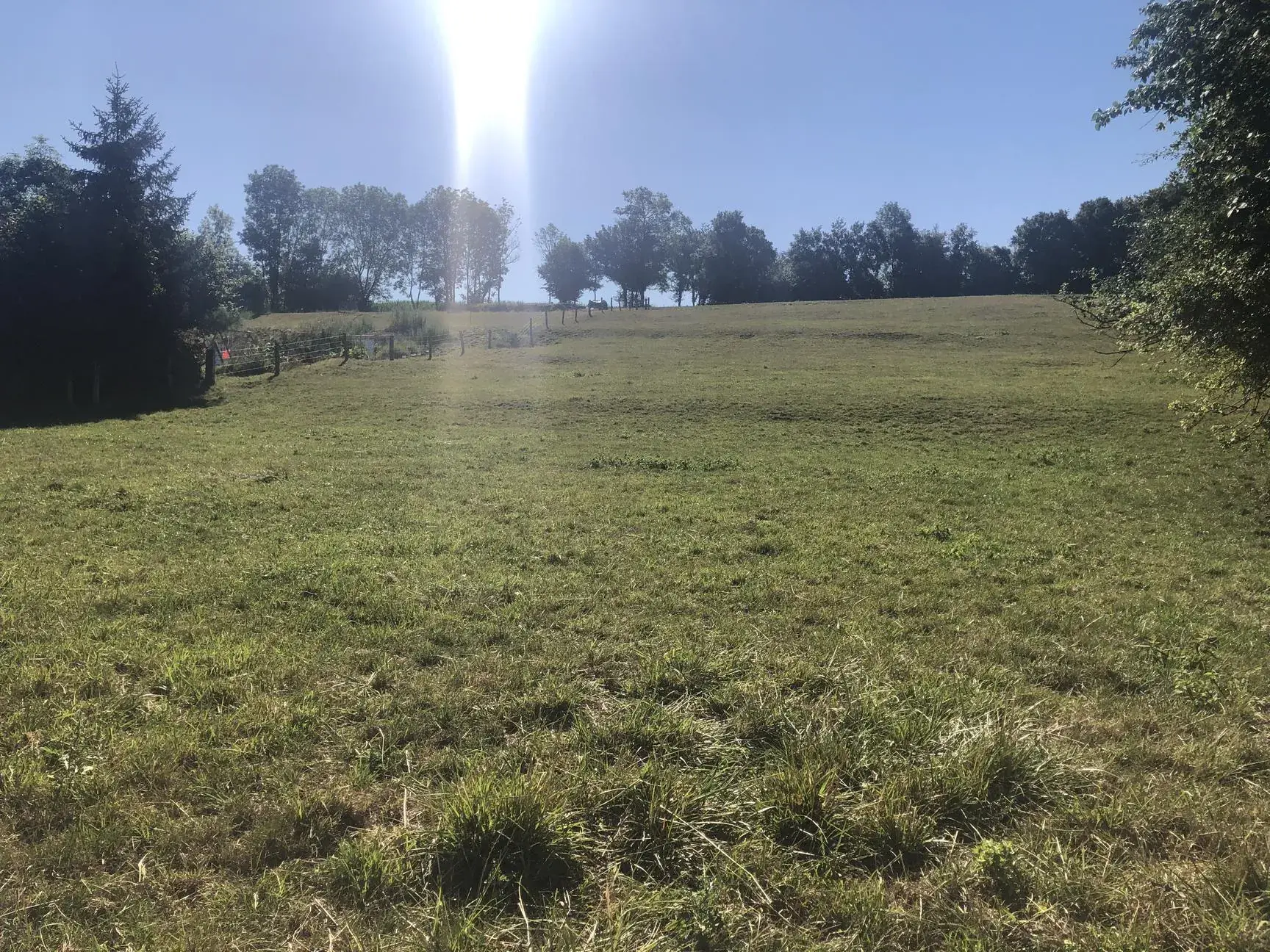 Terrain constructible de 1600 m² à Girancourt à vendre au prix de 53 000 euros 