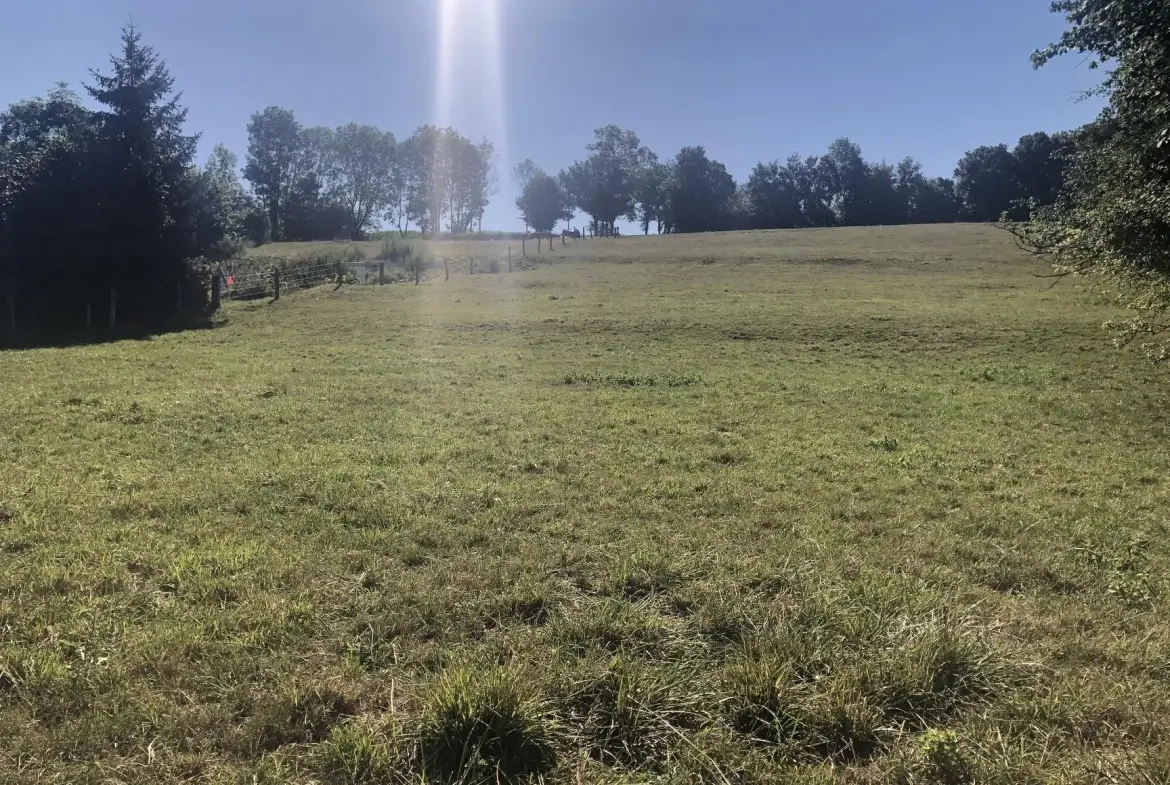 Terrain constructible de 1600 m² à Girancourt à vendre au prix de 53 000 euros 