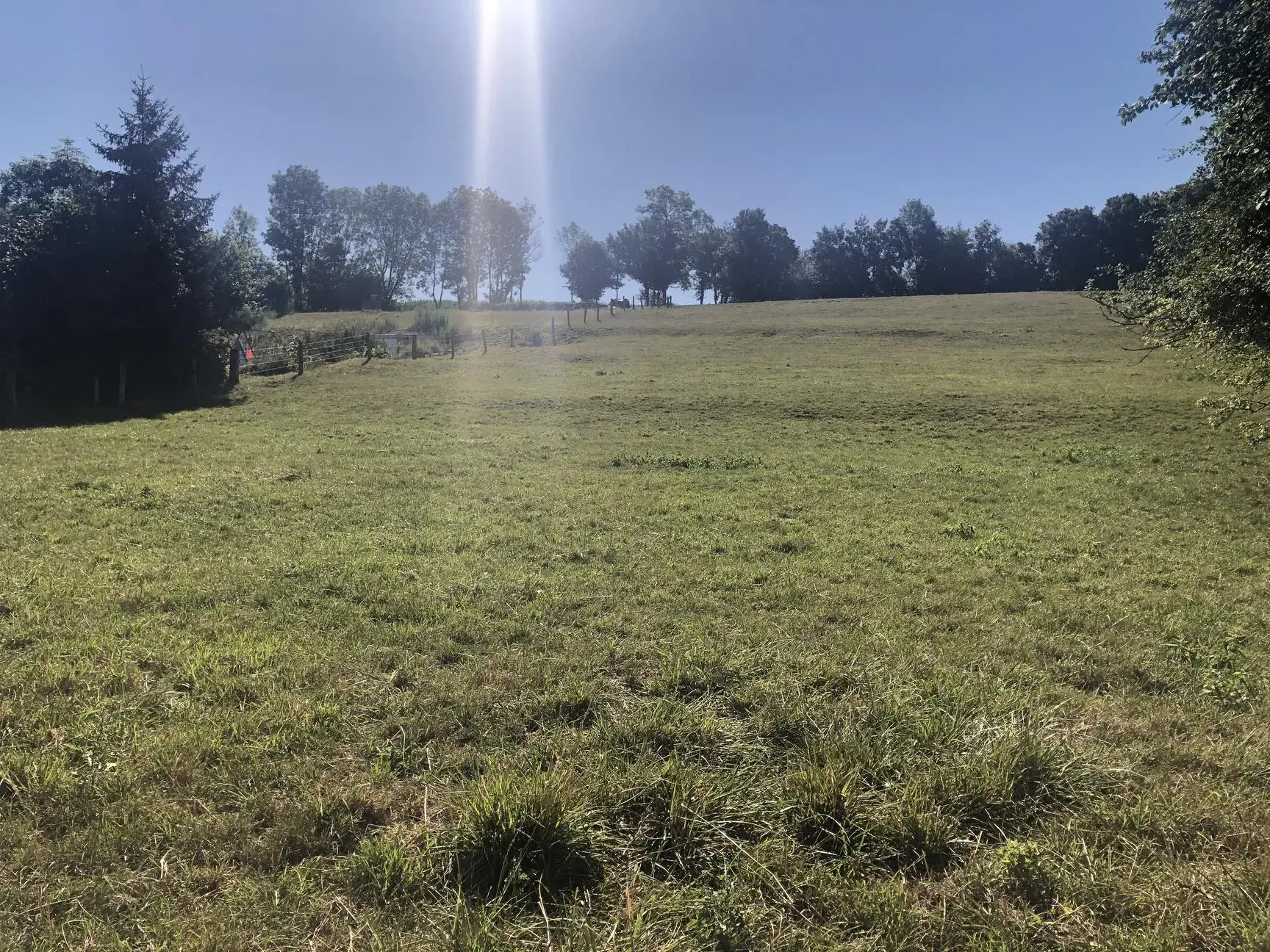 Terrain constructible de 1600 m² à Girancourt à vendre au prix de 53 000 euros 