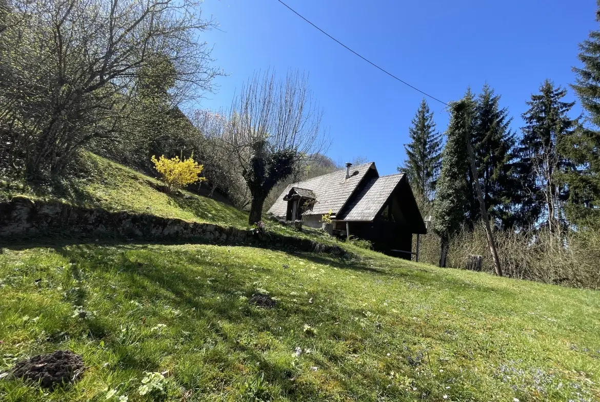 Charmante maison à Annecy-le-Vieux proche des Aravis, 41 m² à rénover 