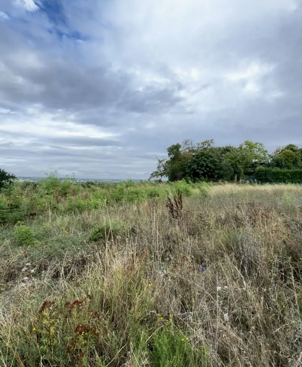 Terrain à vendre à Auzeville-Tolosane près du métro ligne B – 770 m² 