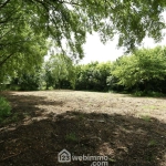 Terrain à bâtir de 725 m² à Bourgneuf, environnement boisé et sécurisé