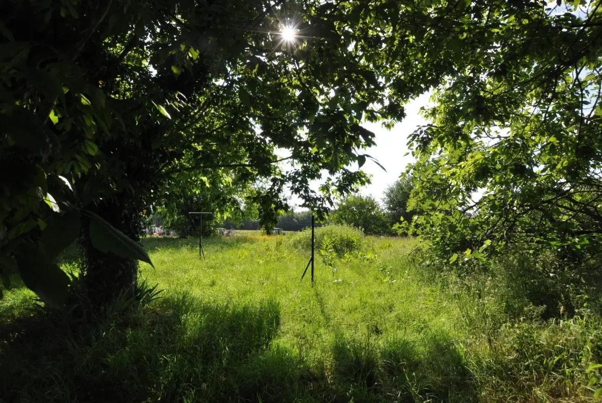 Maison à vendre à Capian - 101 m² avec dépendance et grand terrain 