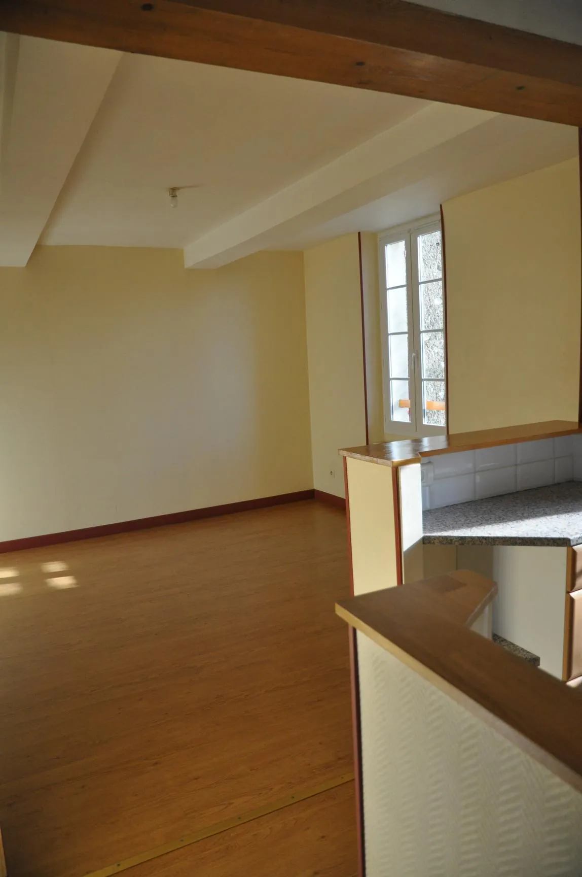 Immeuble de rapport à Briatexte avec 4 appartements et local professionnel 