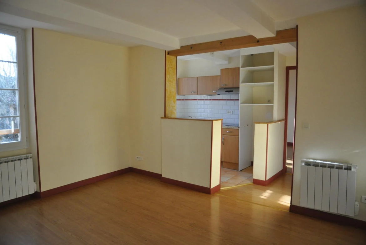 Immeuble de rapport à Briatexte avec 4 appartements et local professionnel 