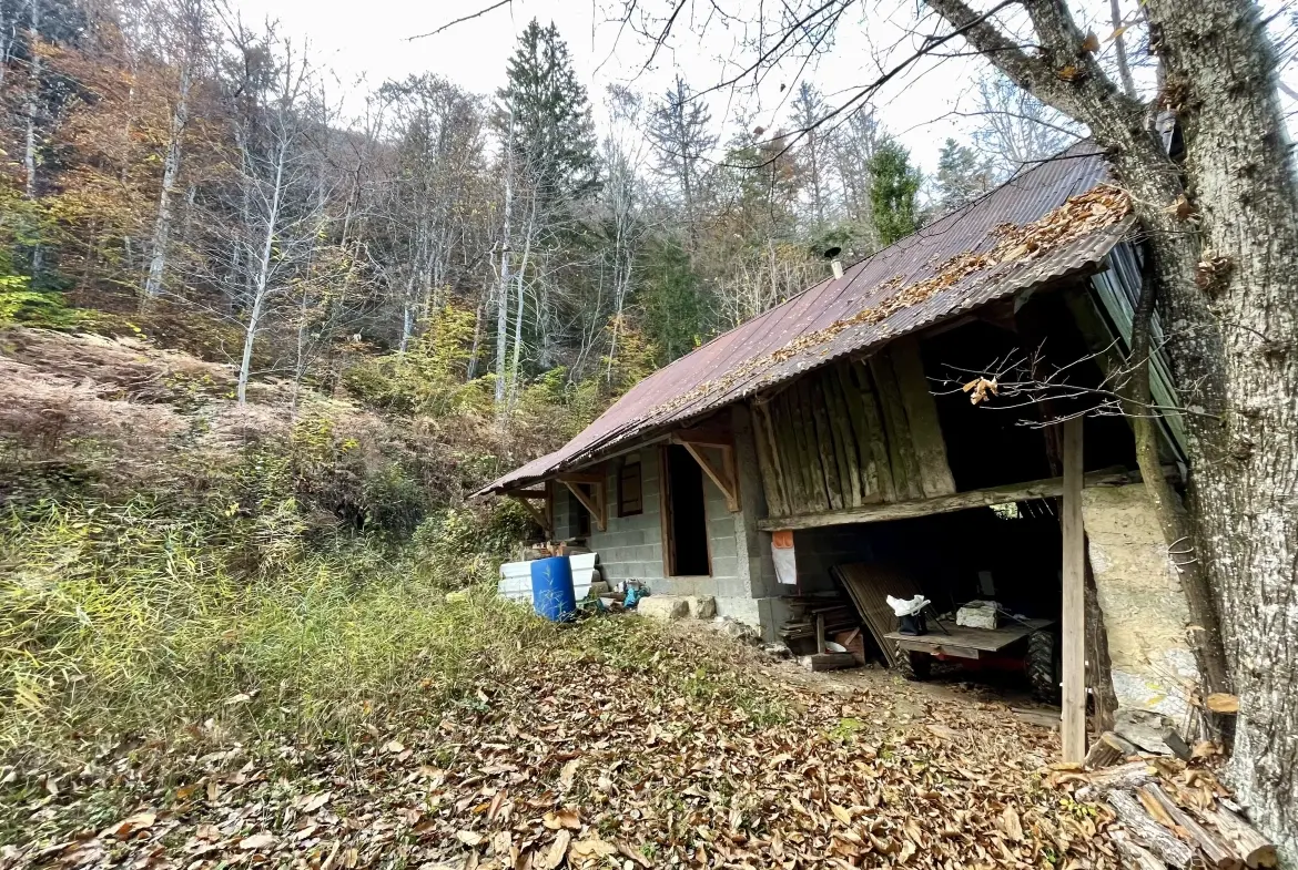 Étable aménagée en zone forestière à Duingt, terrain de 1642 m² 