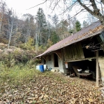 Étable aménagée en zone forestière à Duingt, terrain de 1642 m²