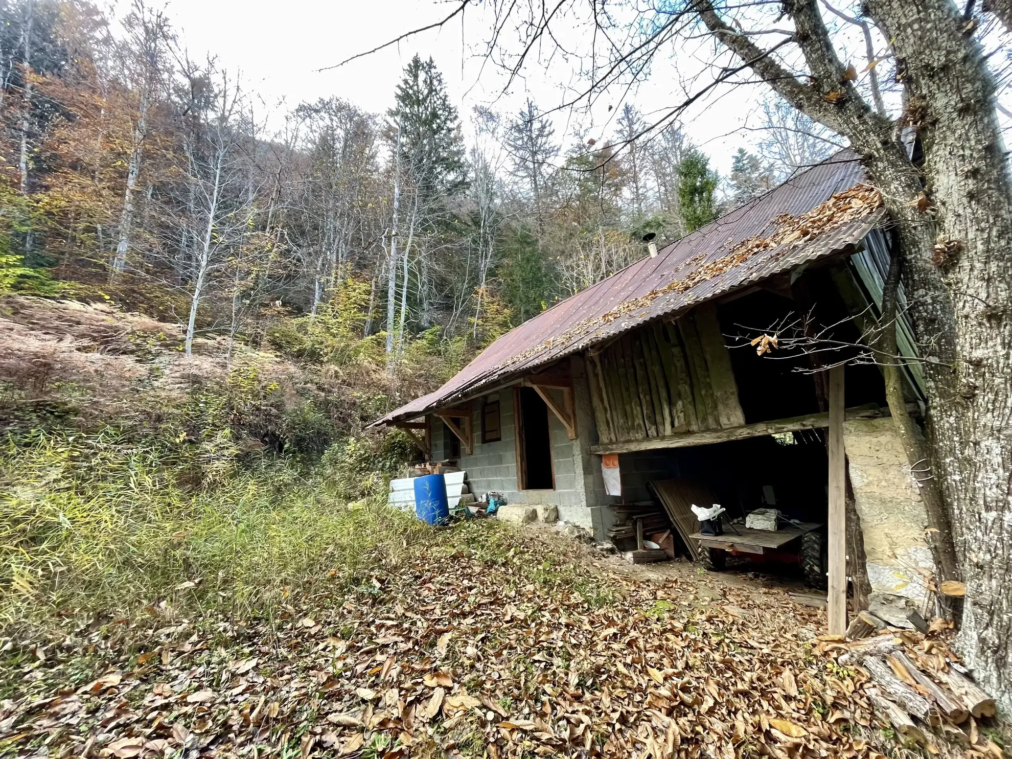Étable aménagée en zone forestière à Duingt, terrain de 1642 m² 