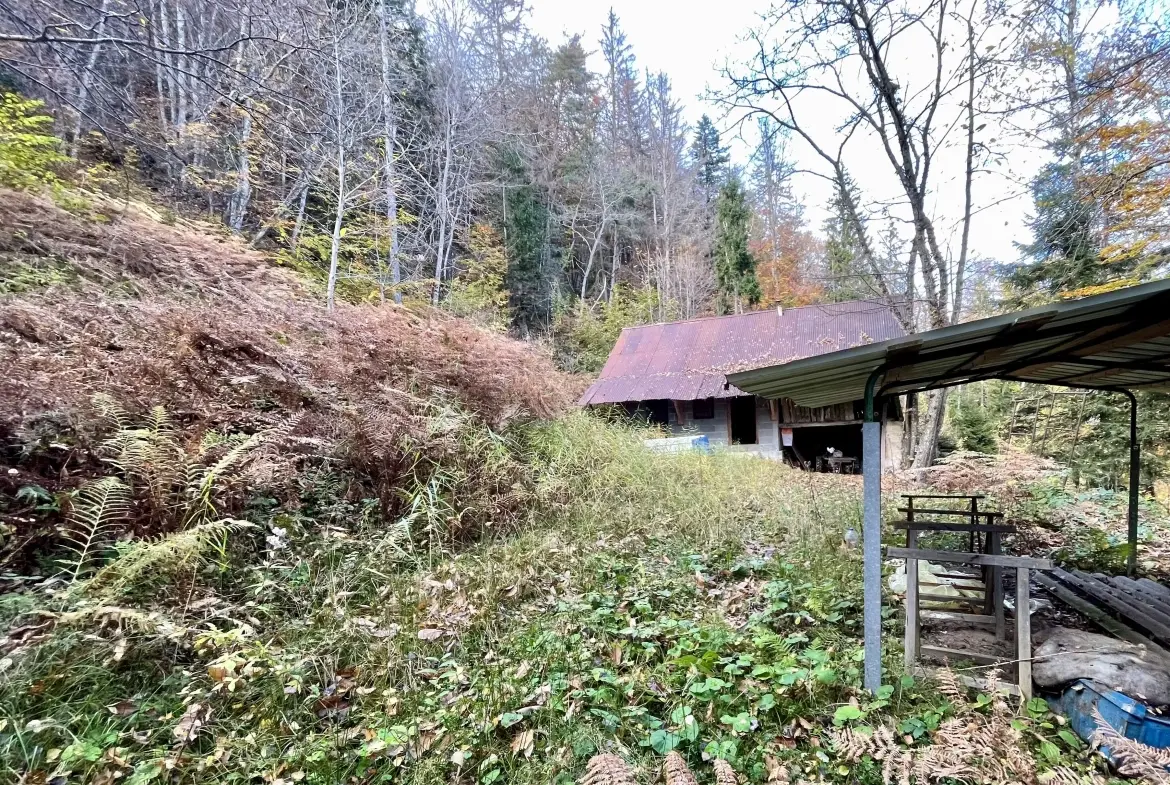 Étable aménagée en zone forestière à Duingt, terrain de 1642 m² 