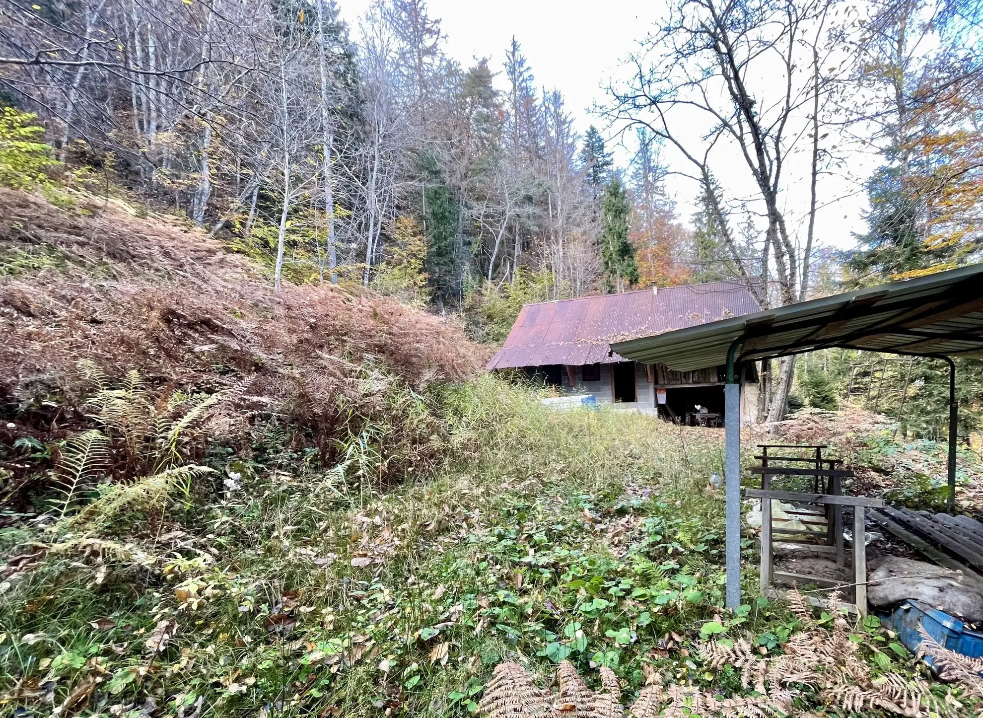 Étable aménagée en zone forestière à Duingt, terrain de 1642 m² 