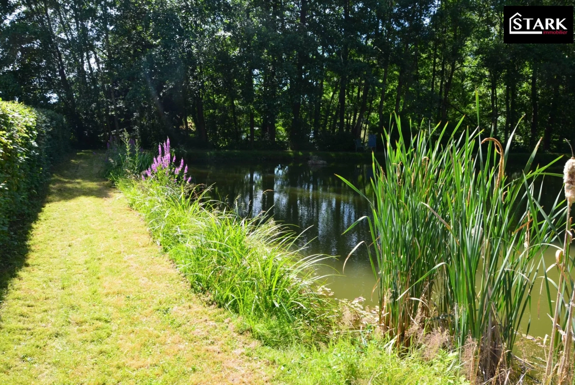 Terrain de loisir avec étang à Felon (90) - Idéal pour détente et aménagements extérieurs 