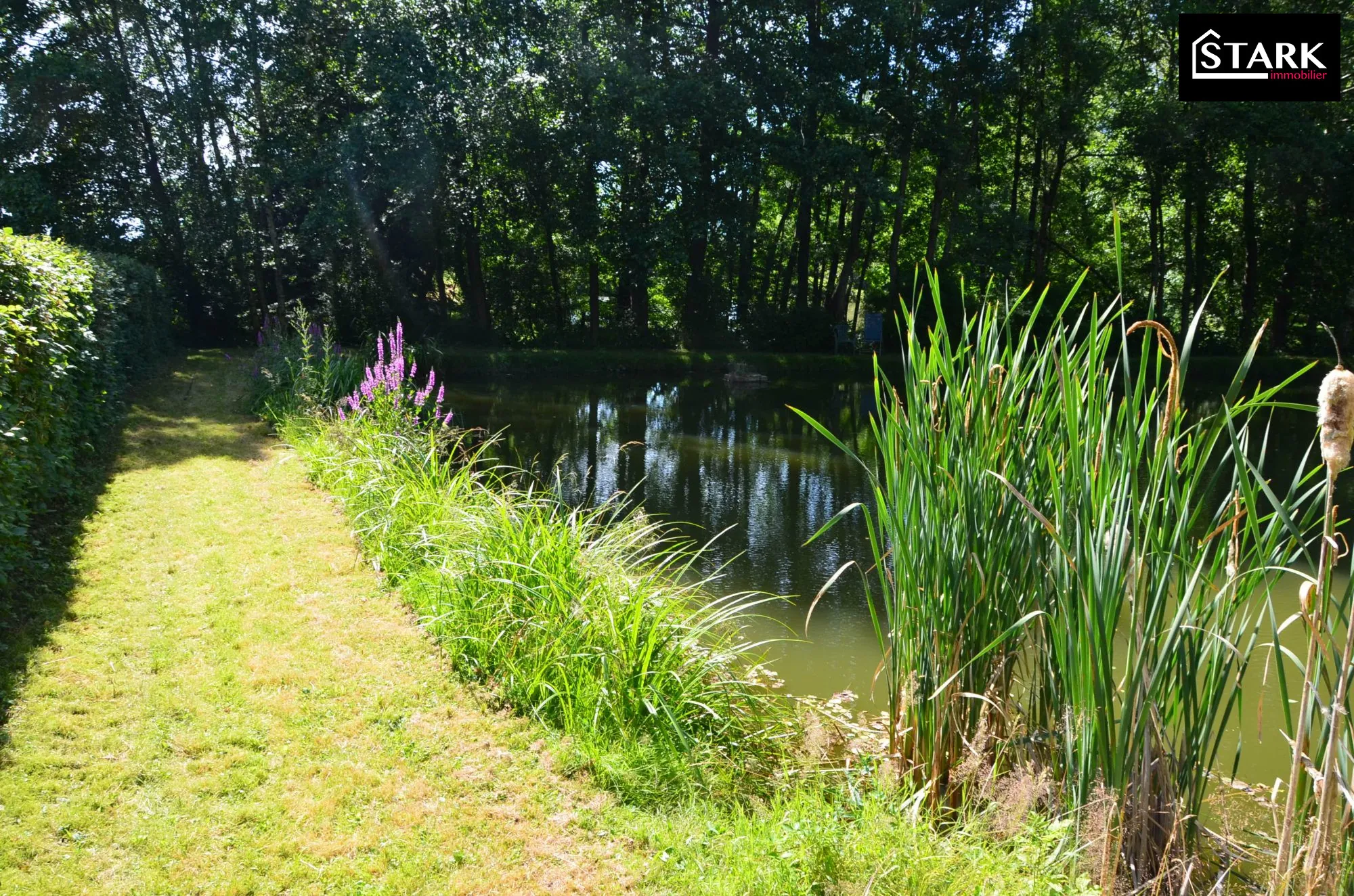 Terrain de loisir avec étang à Felon (90) - Idéal pour détente et aménagements extérieurs 