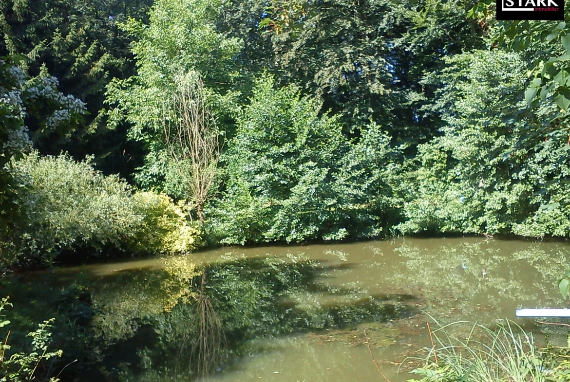 Terrain de loisir avec étang à Felon (90) - Idéal pour détente et aménagements extérieurs 