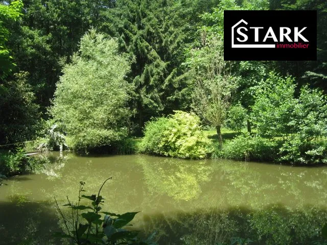 Terrain de loisir avec étang à Felon (90) - Idéal pour détente et aménagements extérieurs 