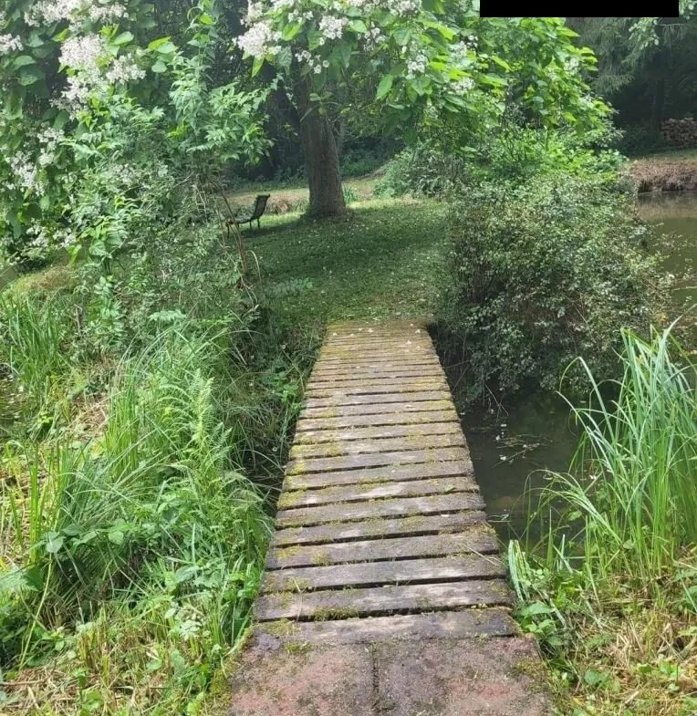Terrain de loisir avec étang à Felon (90) - Idéal pour détente et aménagements extérieurs 