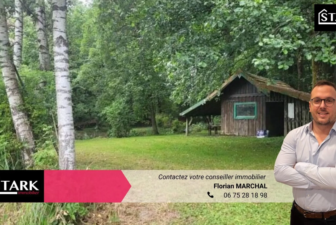 Terrain de loisir avec étang à Felon (90) - Idéal pour détente et aménagements extérieurs 