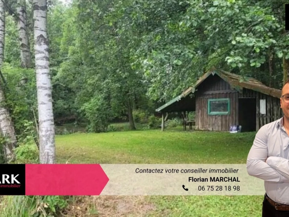 Terrain de loisir avec étang à Felon (90) - Idéal pour détente et aménagements extérieurs