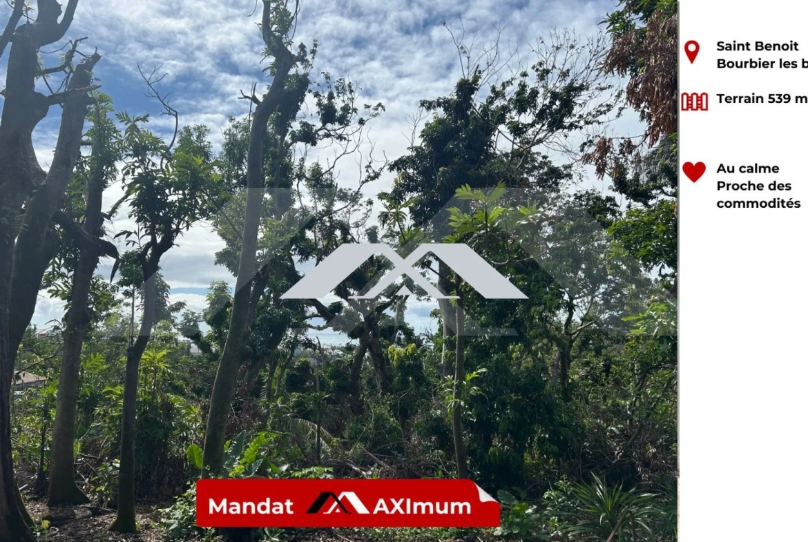 Terrain constructible de 539 m² à Saint-Benoît - Opportunité rare 