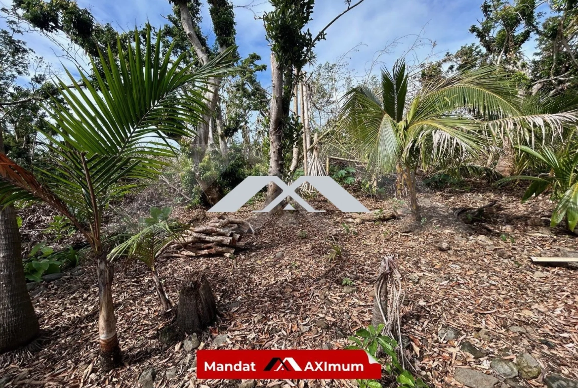 Terrain constructible de 539 m² à Saint-Benoît - Opportunité rare 