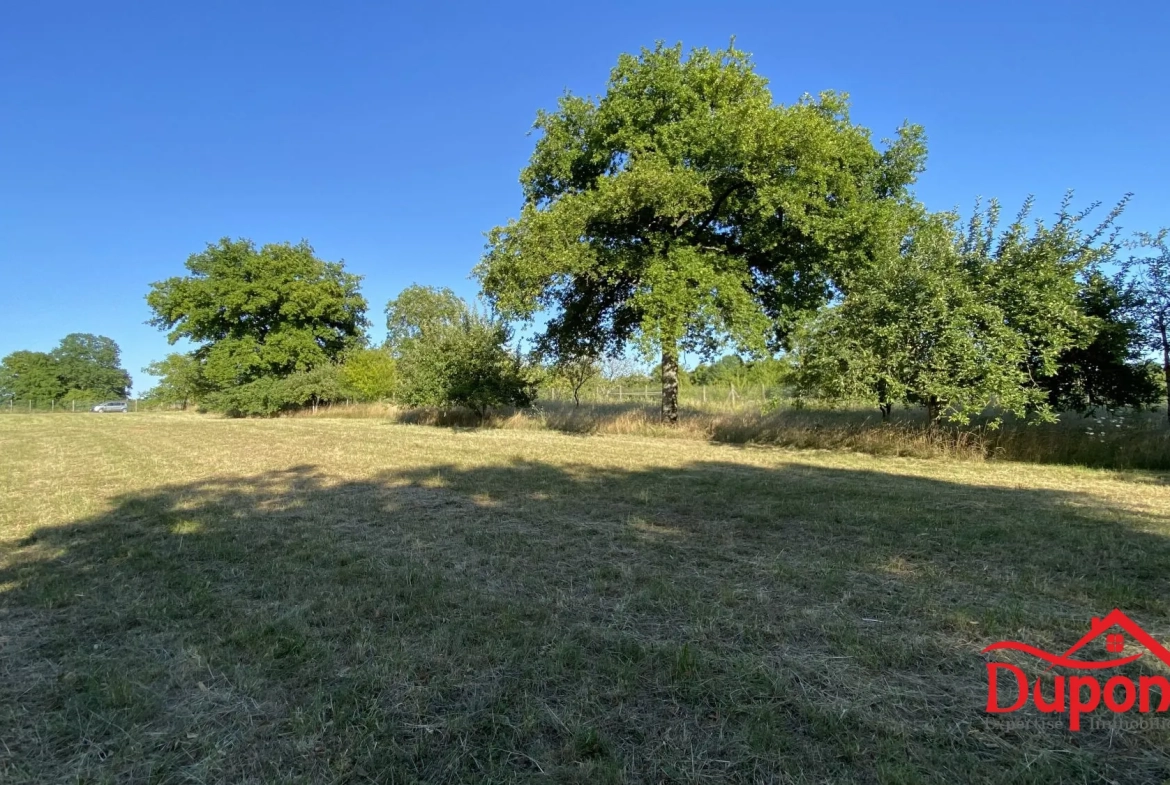 Terrain à vendre avec vue lac à Radonvilliers - 10 000 m² 