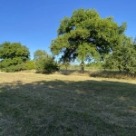Terrain à vendre avec vue lac à Radonvilliers - 10 000 m²