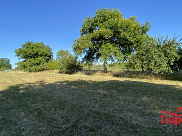 Terrain à vendre avec vue lac à Radonvilliers - 10 000 m²