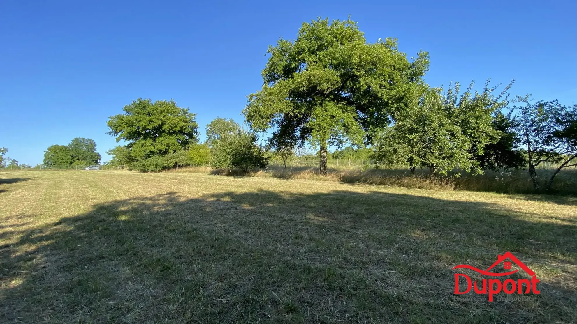 Terrain à vendre avec vue lac à Radonvilliers - 10 000 m² 