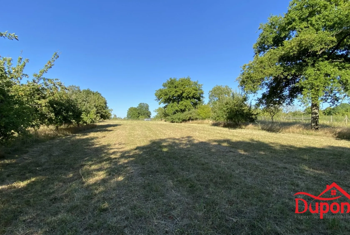 Terrain à vendre avec vue lac à Radonvilliers - 10 000 m² 
