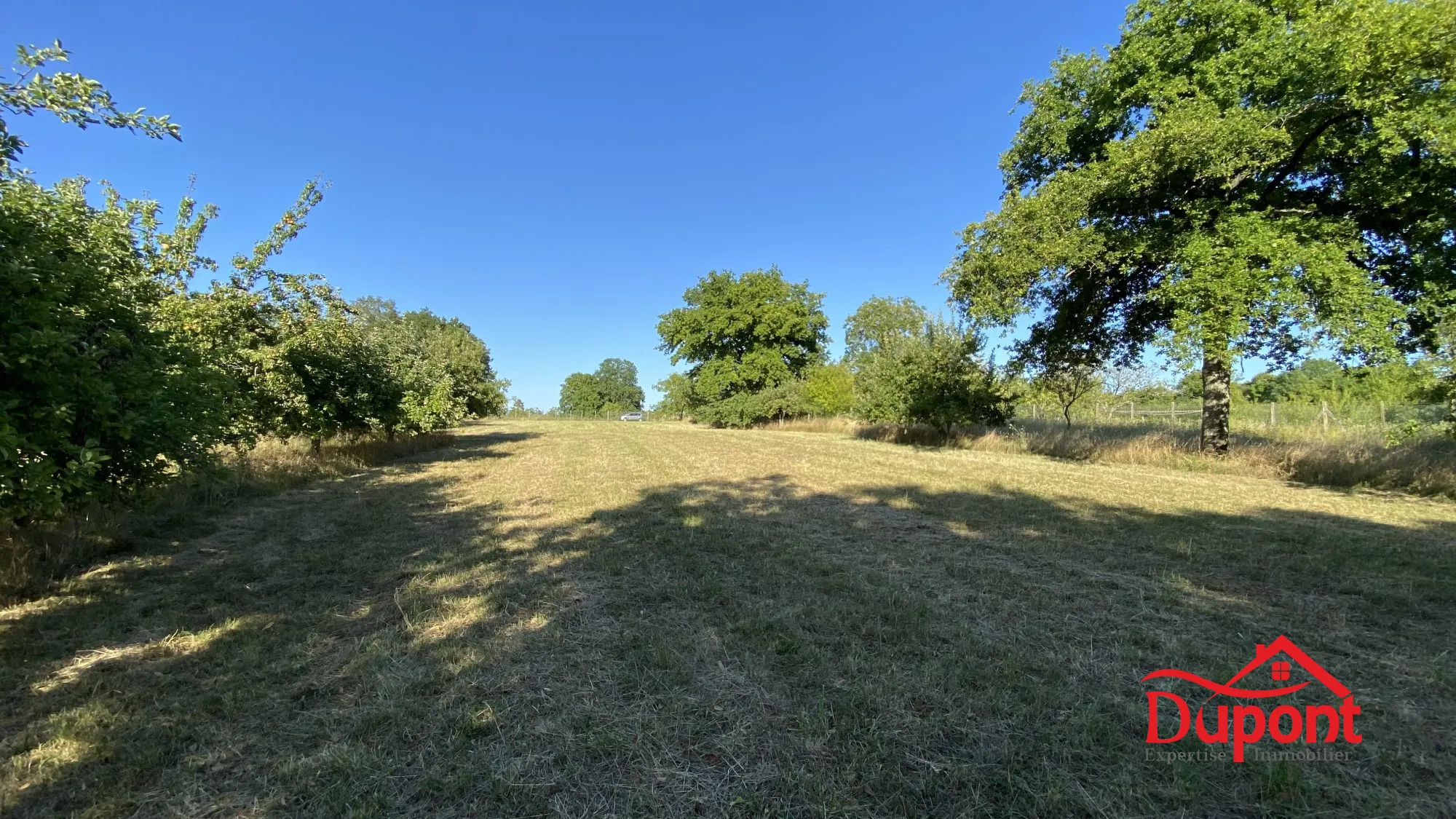 Terrain à vendre avec vue lac à Radonvilliers - 10 000 m² 