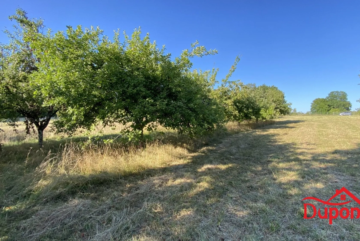 Terrain à vendre avec vue lac à Radonvilliers - 10 000 m² 