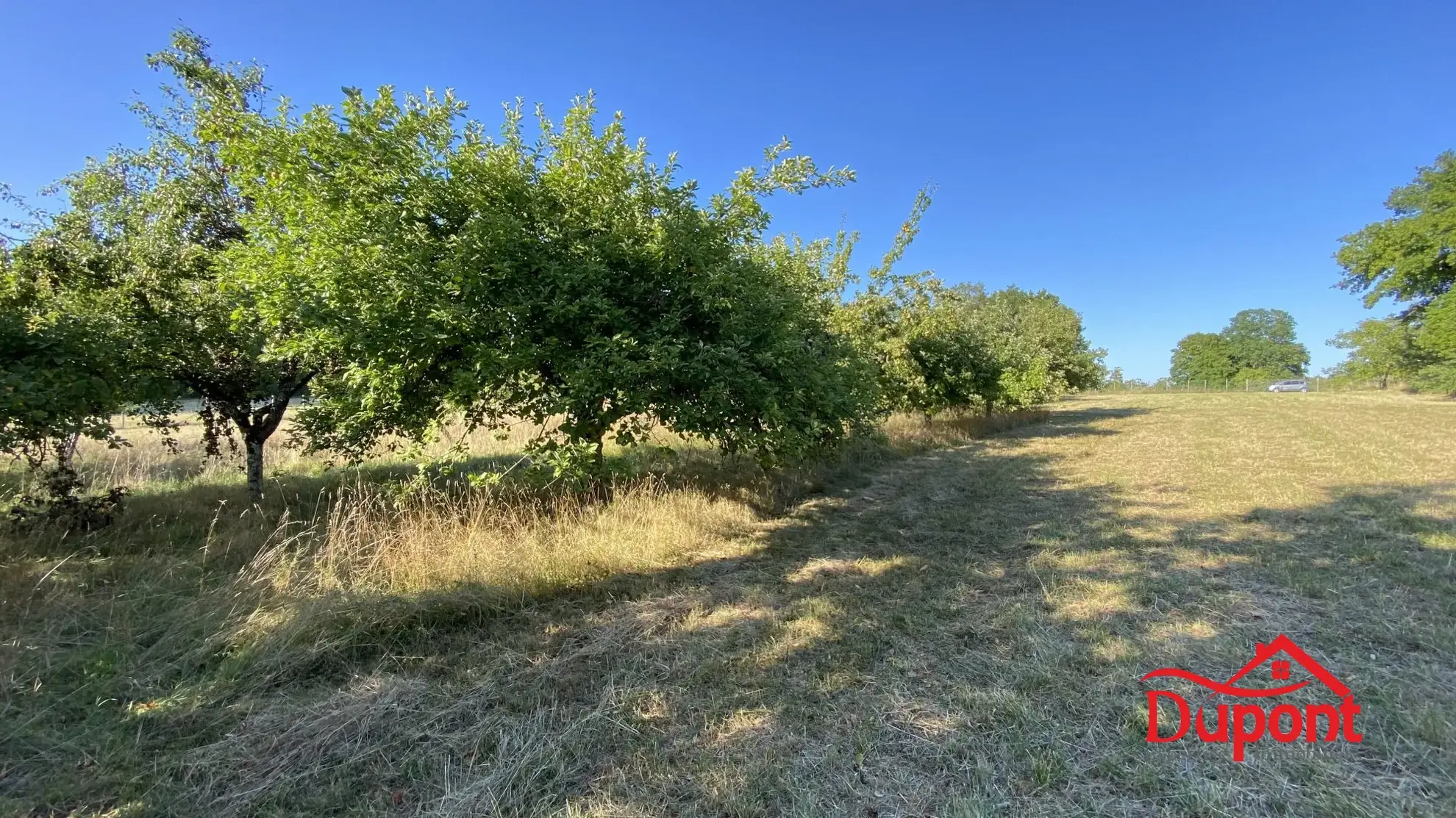 Terrain à vendre avec vue lac à Radonvilliers - 10 000 m² 