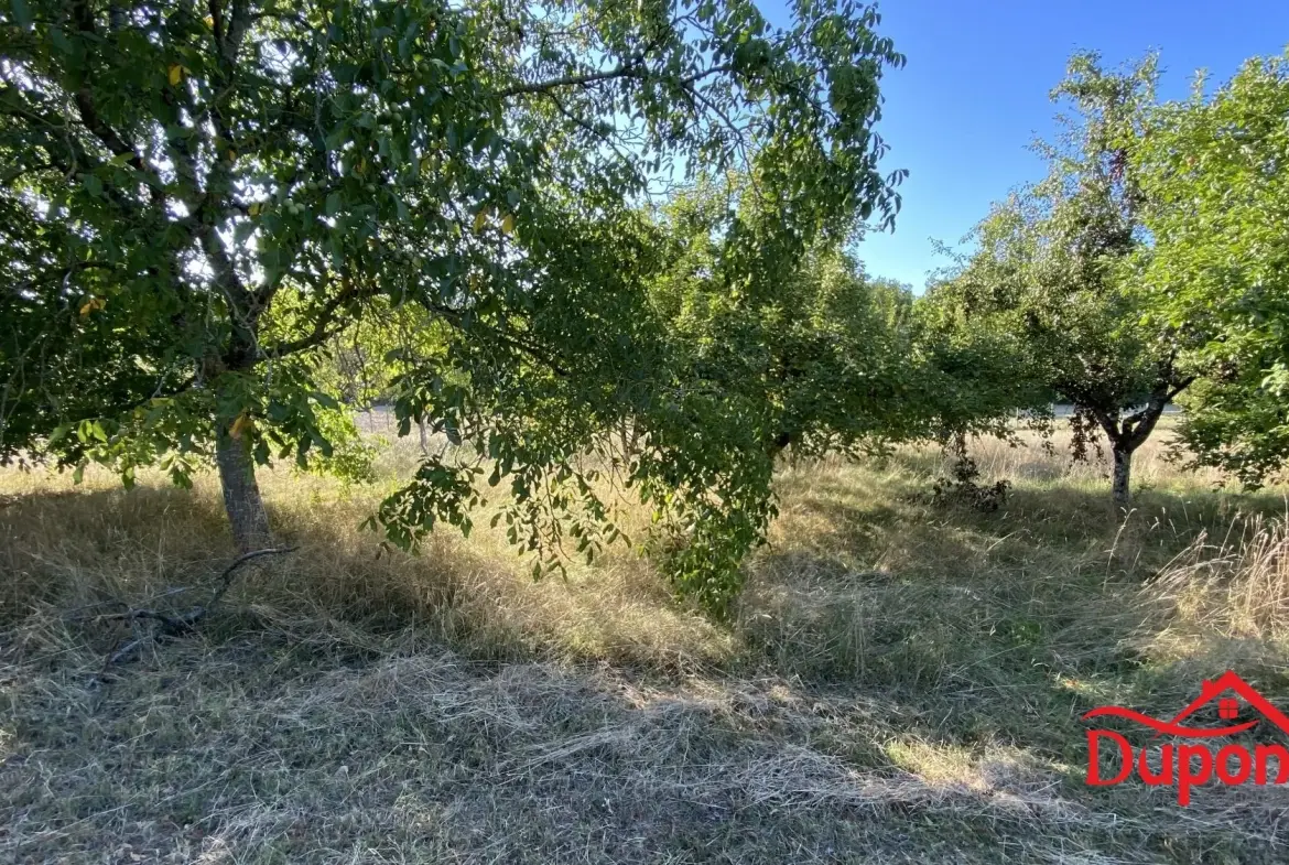 Terrain à vendre avec vue lac à Radonvilliers - 10 000 m² 