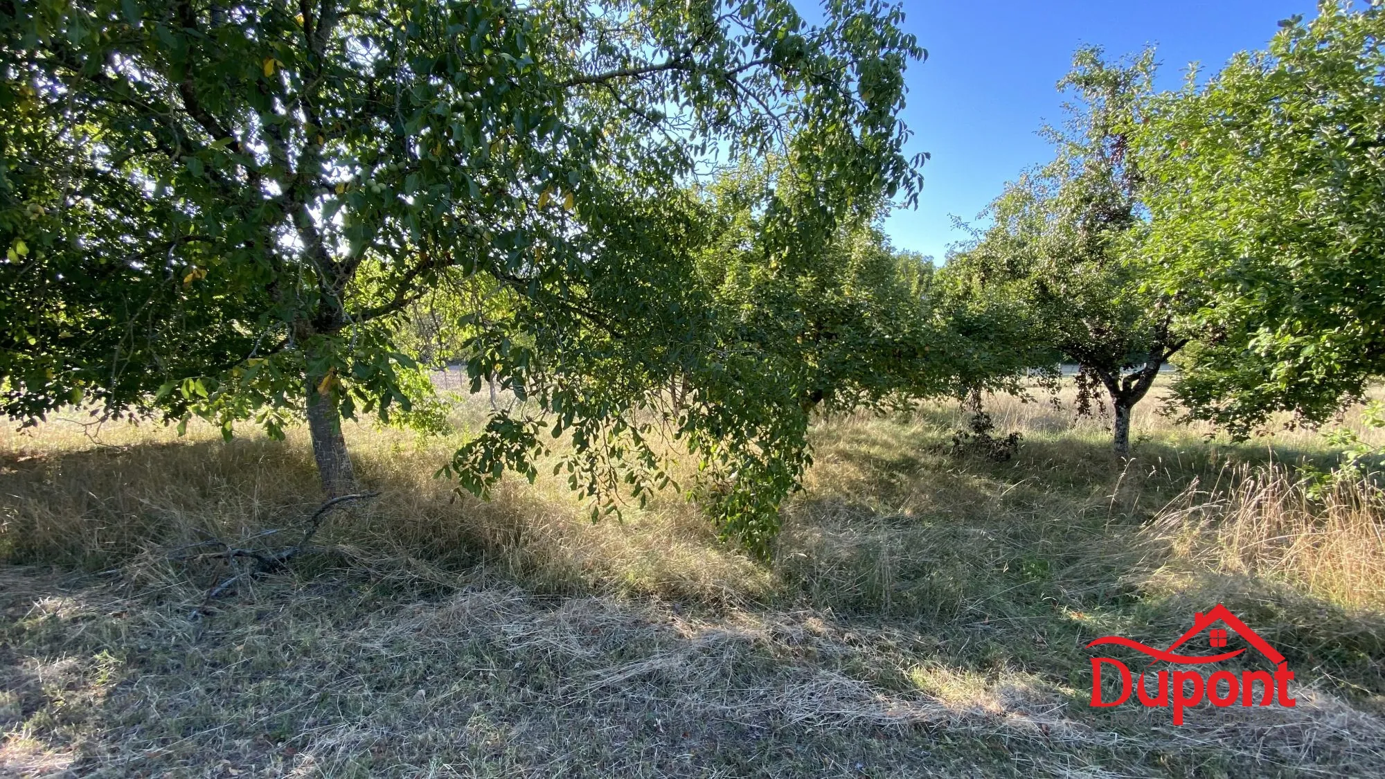 Terrain à vendre avec vue lac à Radonvilliers - 10 000 m² 