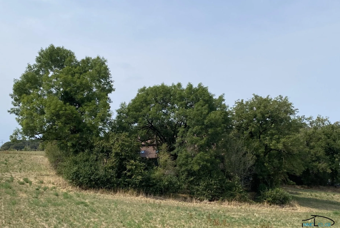 Maison individuelle avec grange attenante proche de Montbazens 