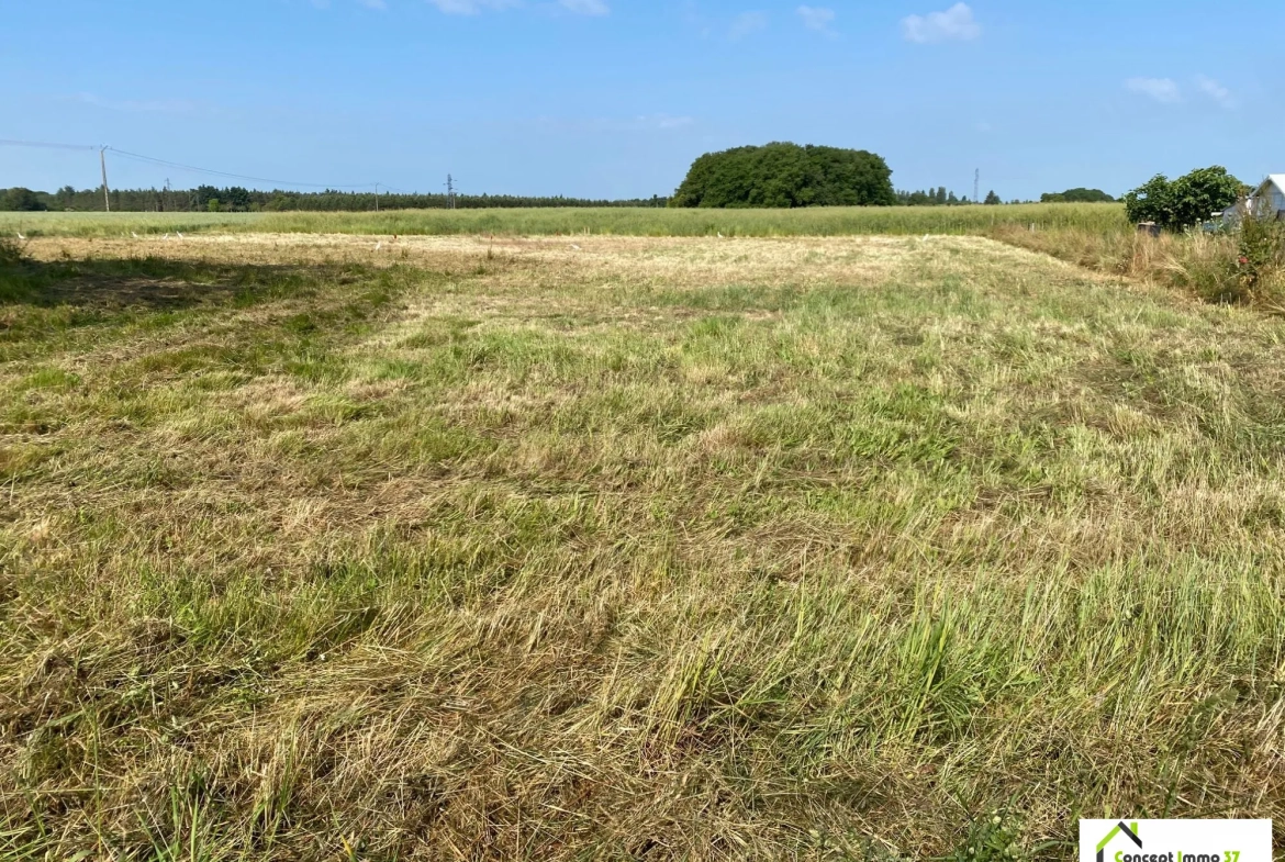 Terrain à bâtir de 500 m² à Esvres-sur-Indre - Opportunité rare 
