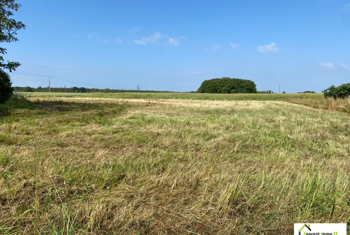 Terrain à bâtir de 500 m² à Esvres-sur-Indre - Opportunité rare 