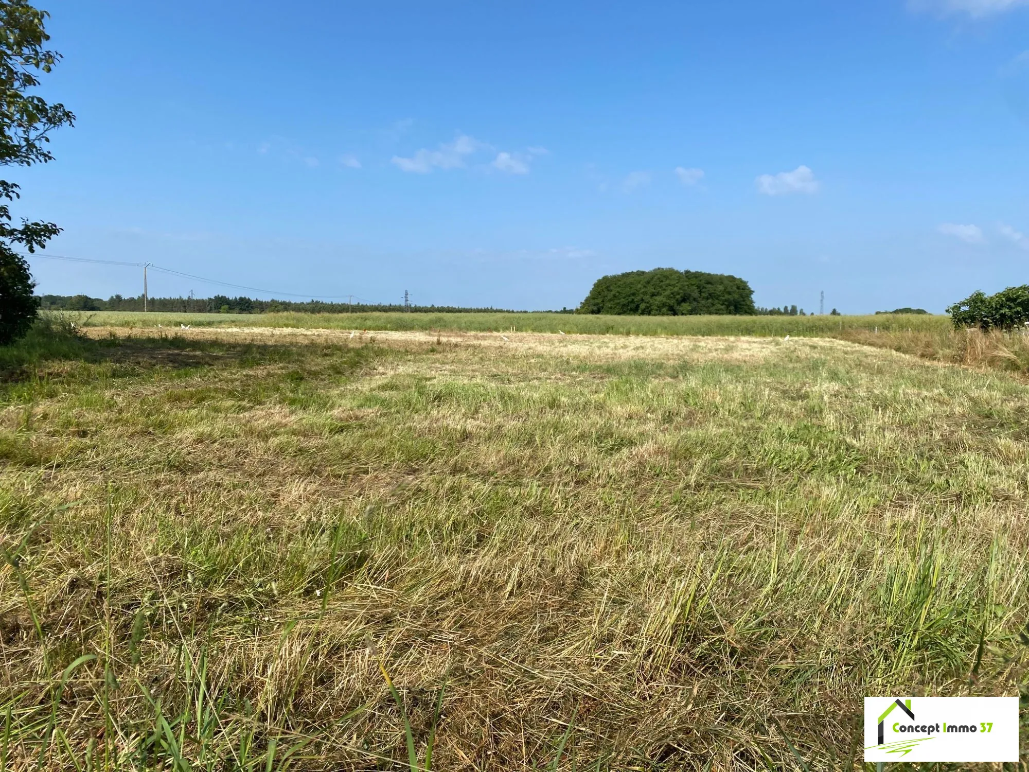 Terrain à bâtir de 500 m² à Esvres-sur-Indre - Opportunité rare 