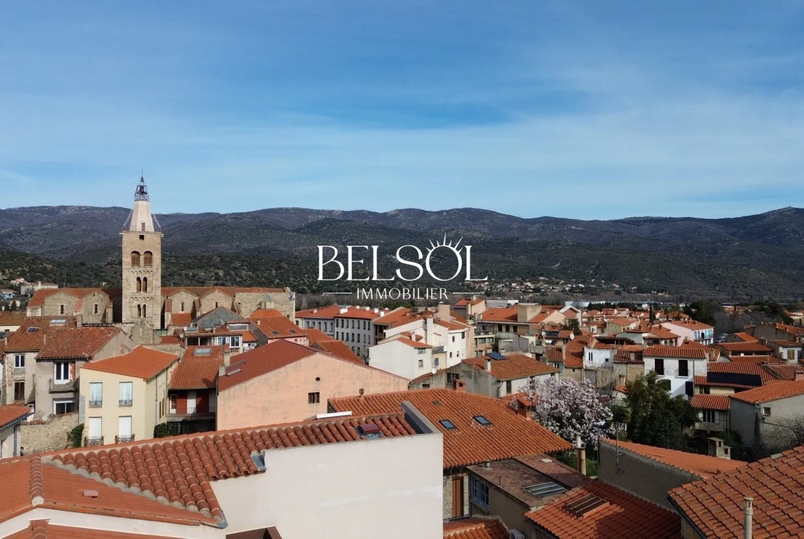 Maison de village à Prades avec potentiel locatif, T4 ou deux logements T3 et Studio 